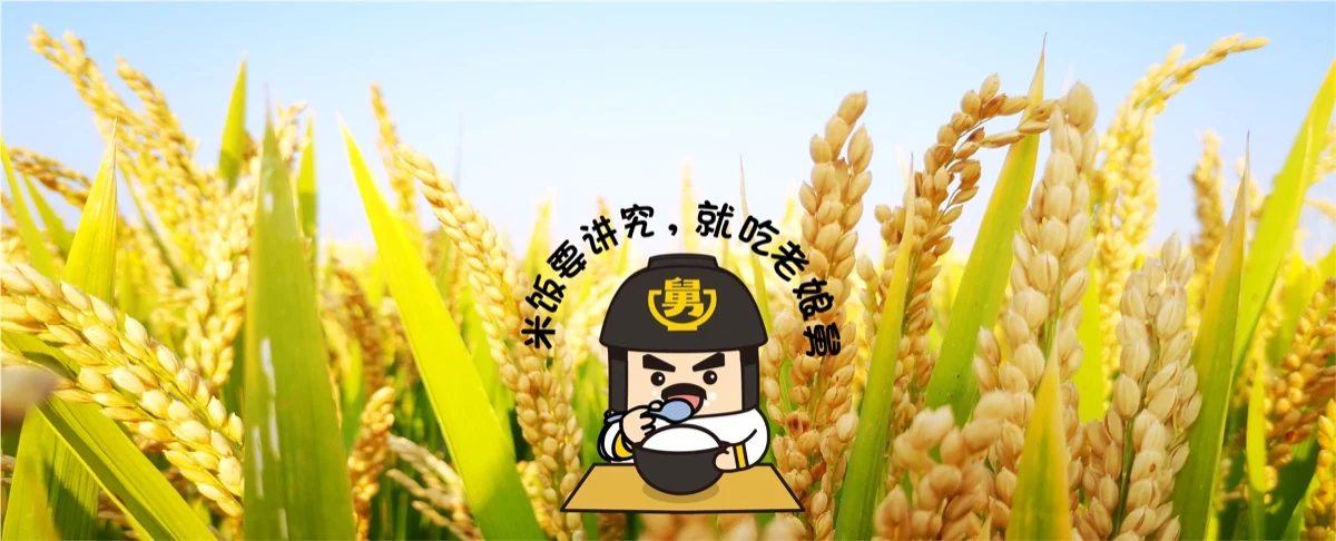 老娘舅
