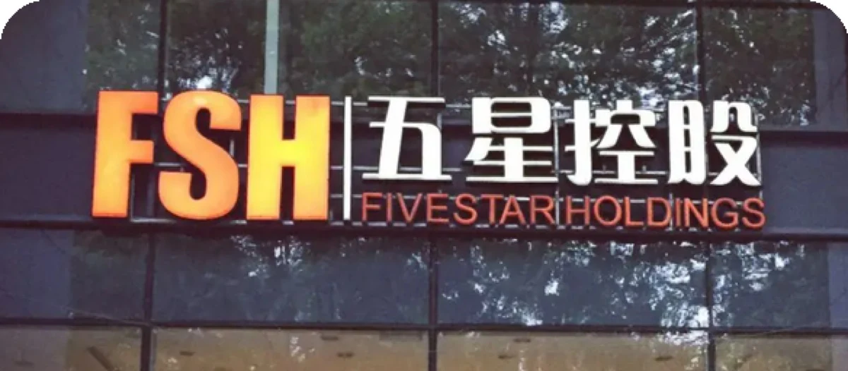 五星控股